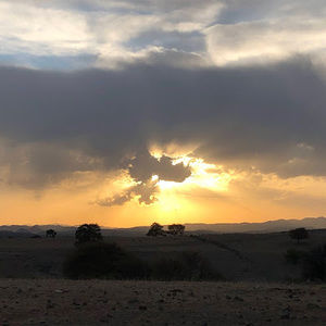 Meet your Posher, John and janna